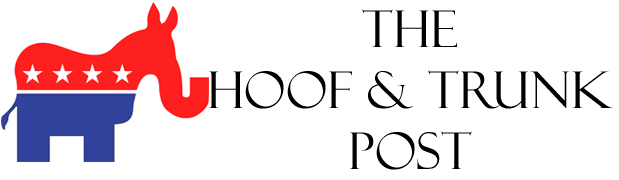 The Hoof And Trunk Post